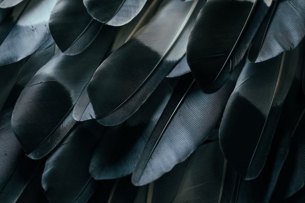 Comment utiliser le safran pour un teint lumineux ?