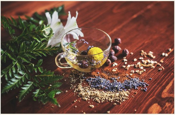 Comment choisir et préparer des infusions aux herbes pour le bien-être ?